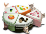 Pet-e-cake pet bed