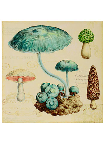 Vintage mushroom print | Bijoux & Bits