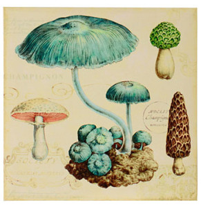 Vintage mushroom print