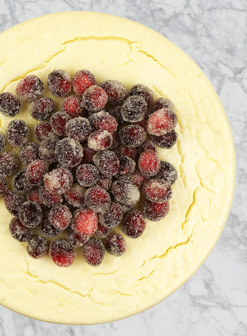 Orange cheesecake with sugared cranberries from @bijouxandbits