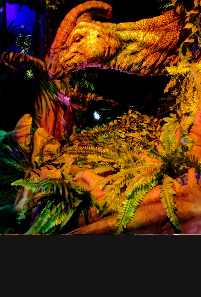 Woman inherits the earth… at the Jurassic World exhibit at The Field Museum