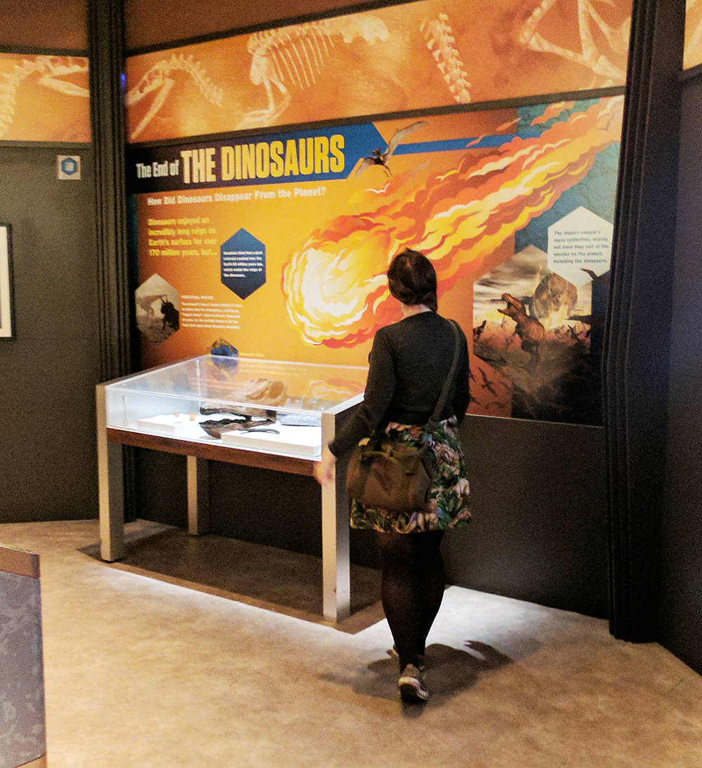 Woman Inherits The Earth At The Jurassic World Exhibit At The Field Museum Bijoux And Bits 