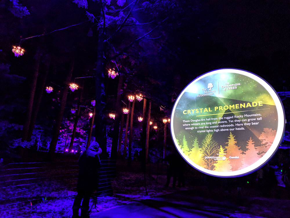Touring enchanted forests: Illumination at The Morton Arboretum